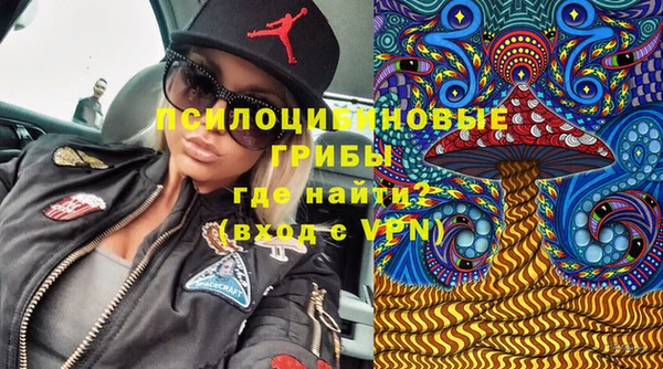 spice Магас