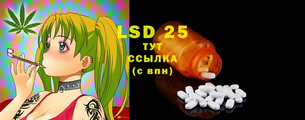 индика Никольское