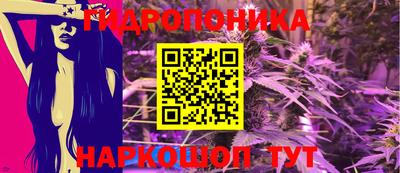 спиды Гусев